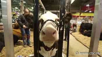 Royal Agricultural Winter Fair cancels in-person events this year