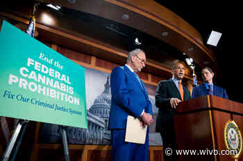 Senate leader Chuck Schumer lends clout to marijuana legalization push