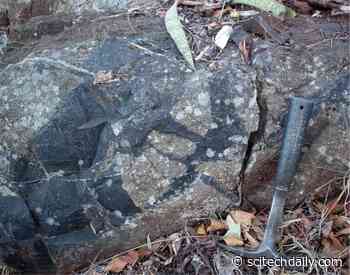 3.4 Billion-Year-Old Fossils of Methane-Cycling Microbes Expand Frontiers of Habitability on Early Earth