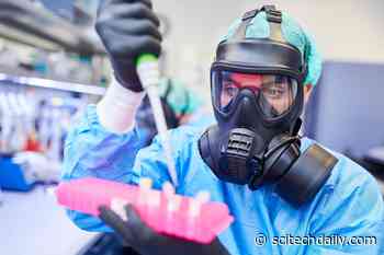 Scientists Condemn UK Government’s “Dangerous & Unethical COVID-19 Experiment”