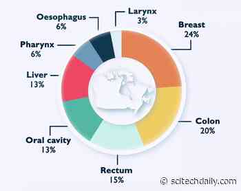 Moderate Alcohol Use Linked With Higher Cancer Risk