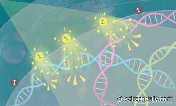 Quantum Physics Helps Break DNA and Destroy Cancer Cells