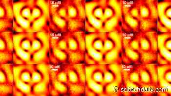Harnessing the Dark Side: Optical Singularities Could Be Used for a Wide Range of Applications