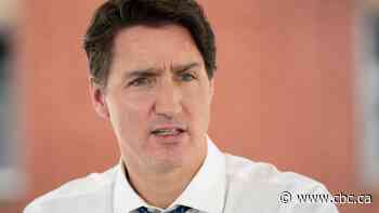 Ethics commissioner set to look into Liberal data contracts