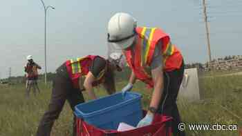 Your poop could be used to track COVID-19 outbreaks, says U of C researchers