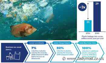 Plastics: UN sets out ambitious plans to reach global net zero marine pollution by 2050