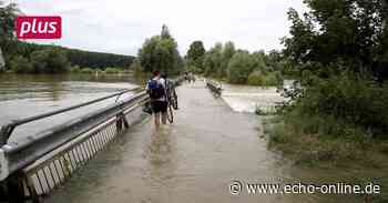 Trebur Steindamm bei Trebur bleibt wegen Hochwasser gesperrt - Echo Online