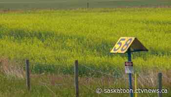 'We done as much as we can do': Sask. farmer says dry summer echoes disastrous 2002 growing season