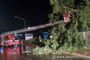 Riesa: Bäume geknickt, Keller voll, Straße gesperrt - Sächsische.de