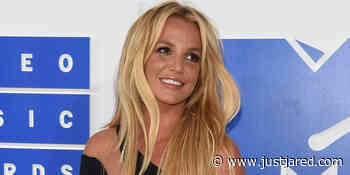 Britney Spears' Potential New Attorney Pleads His Case