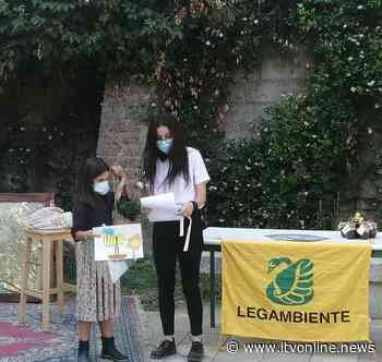 Ape Pittrice: è una bimba di Solofra a vincere il contest di Legambiente - Irpinia TV