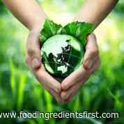 Testing times: UK food policy needs greater diversity to deal with future crisis, warns report - FoodIngredientsFirst