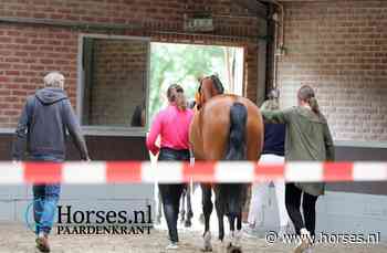 SK Bronneger: hoogste score voor Franklin-dochter Next Ina - Horses.nl
