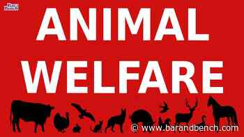 [In Re Bruno] Remove posters outside State veterinary hospitals advocating chaining/caging of pets: Kerala High Court - Bar & Bench - Indian Legal News