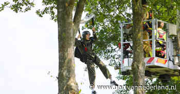 Eerste parachutesprong ooit van 19-jarige Melle eindigt in boom - Hartvannederland.nl