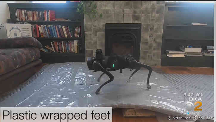 Team At Carnegie Mellon University Develop Four-Legged, Real-Time Learning Robot
