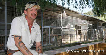 Joe Exotic of ‘Tiger King’ To Be Resentenced