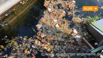 Plastikflut erforscht: So viel Müll schwimmt in Augsburger Kanälen