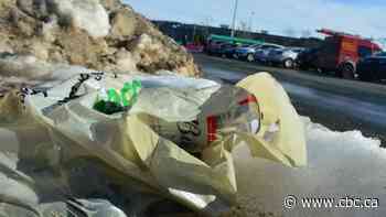 Prince Albert's plastic bag ban back on track after pandemic delay