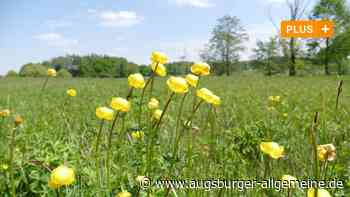 Der Landschaftspflegeverband hat einen neuen Vorsitzenden - Augsburger Allgemeine