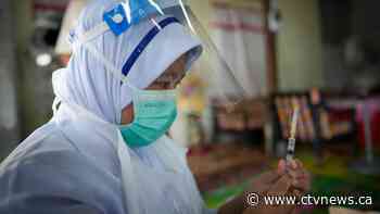 Dispiriting setback: COVID-19 deaths, cases rise again globally