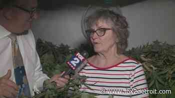 Pot growing grandma takes on Ypsilanti Twp. over medical marijuana operation in basement - FOX 2 Detroit