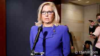 Cheney reportedly told Jim Jordan 'you f---ing did this' during Jan. 6 riot