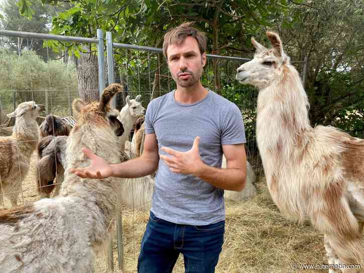 Ce trader est devenu éleveur de lamas: le parcours atypique de Benjamin Leroy-Blanc