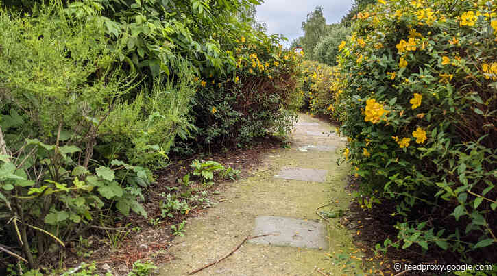 London’s Pocket Parks: Olympic Ring Park, N1C