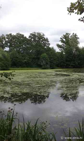 Ludgerwandeling langs mooie plekjes in Vragender - Elna - Elna