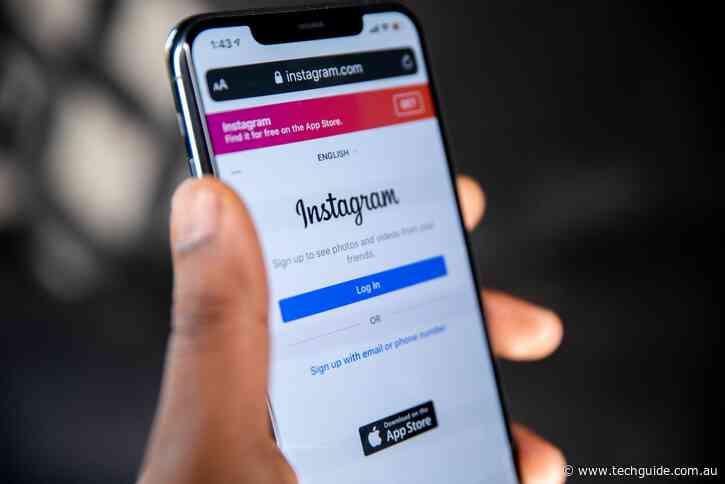 How To Get More Instagram Followers: Expert Guide