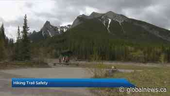 Keeping people and wildlife safe in the Bow Valley, Kananaskis Country