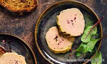 World's first lab-grown FOIE GRAS is created from duck stem cells