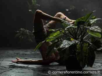 Paradise Now#Prato, la performance chiuderà la rassegna Pecci Summer il 23 luglio - Corriere Fiorentino