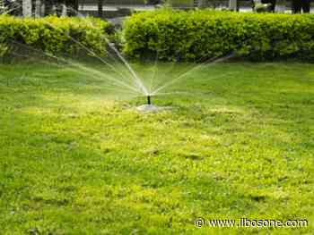 Irrigazione del prato: perché è ideale effettuarla al mattino? - Il Bosone