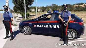 Prato, madre aggredisce con mattarello i carabinieri che perquisiscono il figlio - LA NAZIONE