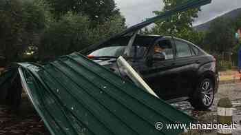 Bufera di vento a Prato, crollano alberi e cartelloni - LA NAZIONE