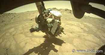 Mars Perseverance rover investigates 'garden pavers' patch of rocks     - CNET