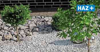 Schottergärten in Hemmingen: Rat will neue Regelung beschließen - Hannoversche Allgemeine