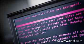 With ransomware attacks on the rise, US launches new site to combat the threat     - CNET