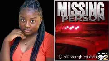 McKeesport Police Looking For Missing 19-Year-Old Yatwon Hudson