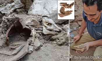 2,700-year-old pig skeleton found home in Jerusalem suggests some ancient Jews ate pork 
