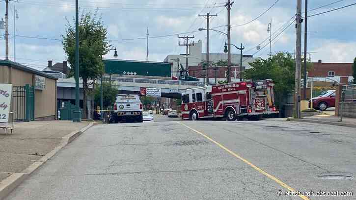 Man In Wheelchair Hit, Killed By Truck In Homestead