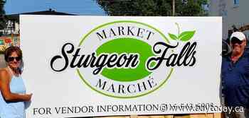 Vendors wanted for Sturgeon Falls’ weekend market