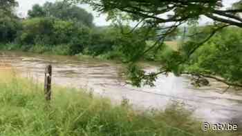 Scouts uit Kalmthout moeten kamp in Couvin vroeger afbreken - ATV