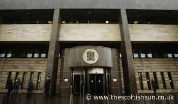 Axe-wielding Scots gardener petrol-bombed neighbour’s home whilst she was inside with kids over garden r... - The Scottish Sun