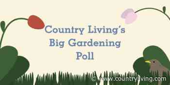 The Big Gardening Quiz: What Kind Of Gardener Are You? - Countryliving (UK)