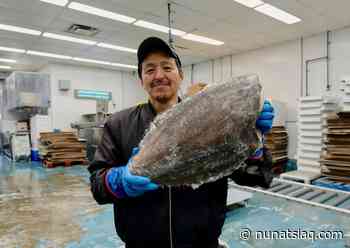 Pangnirtung Fisheries preps for char after a turbot season full of firsts - Nunatsiaq News