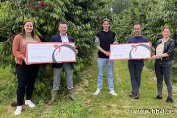 Opbrengst primeurkersen 2021 gaat naar het goede doel (Borgloon) - Het Belang van Limburg - Het Belang van Limburg