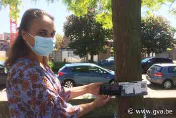 Academie Boom/Puurs brengt origineel afstudeerproject: “Via QR-codes op stap met Dylan” - Gazet van Antwerpen